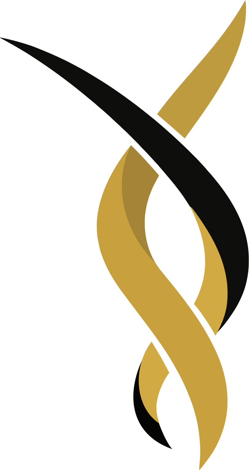 TSC Schwarz-Gold e.V. im ASC Göttingen von 1846 e.V. Logo